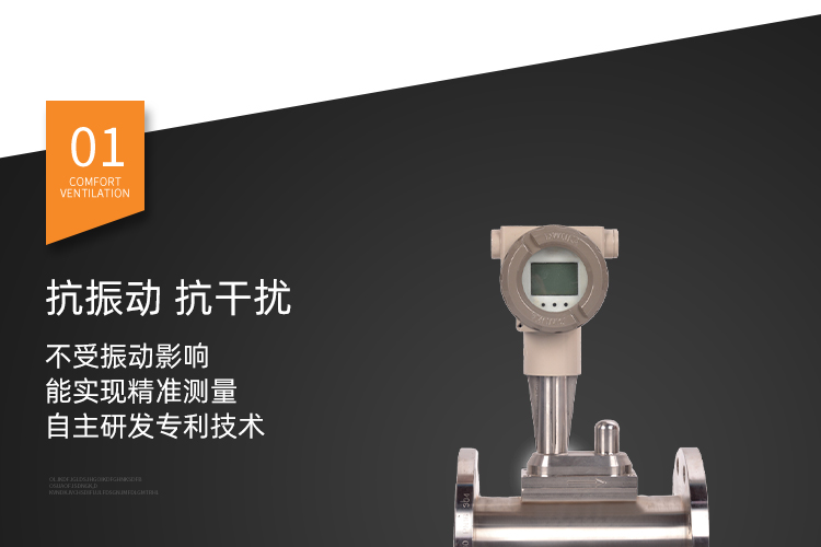 抗振涡街流量计